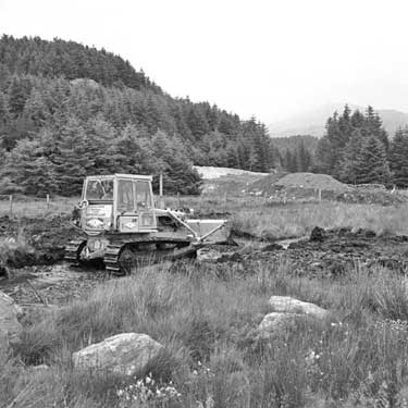 Forestry, Duddon Valley, Cumbria