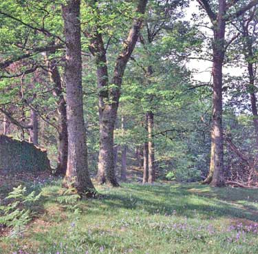 Woodland, Cumbria