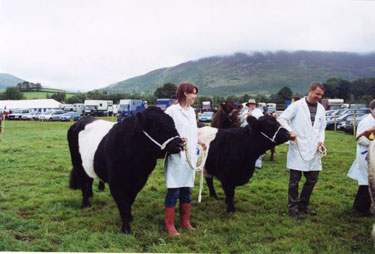 Loweswater Show