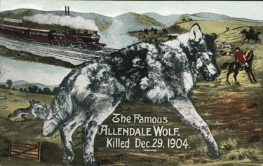 The Allendale Wolf