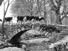 View: ct03117 Packhorse bridge