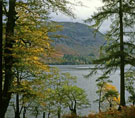 View: ct03625 Early autumn at Ullswater