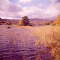 View: ct09129 Autumn colours on Rydal Water