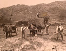 View: ct11286 Haymaking