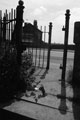 View: ct30681 Carlisle