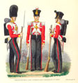 View: ct31575 The 34th (The Cumberland) Regiment of Foot