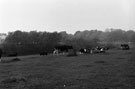 View: ct32455 Carlisle