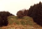 View: ct35436 Bewcastle