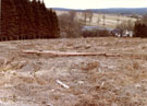 View: ct35469 Bewcastle