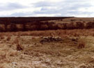 View: ct35471 Bewcastle