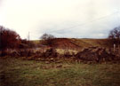 View: ct35490 Bewcastle