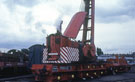 View: ct38957 Cowan Sheldon crane