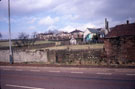 View: ct51883 Penrith, White Ox