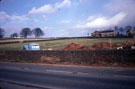 View: ct51884 Penrith, White Ox