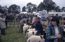 View: ct51927 Skelton, Judging the sheep