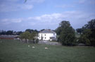 View: ct51943 Crofton, Fiddleback