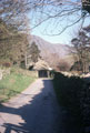View: ct51978 Hartsop