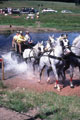 View: ct52151 Lowther Water Splash